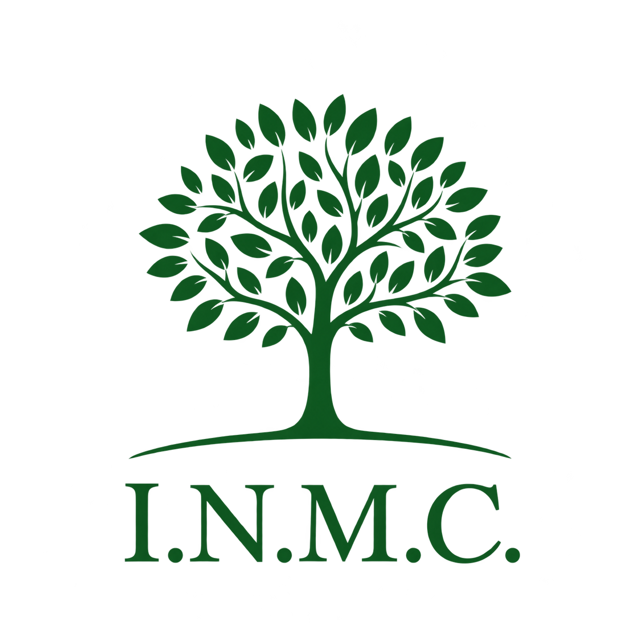 Logo INMC