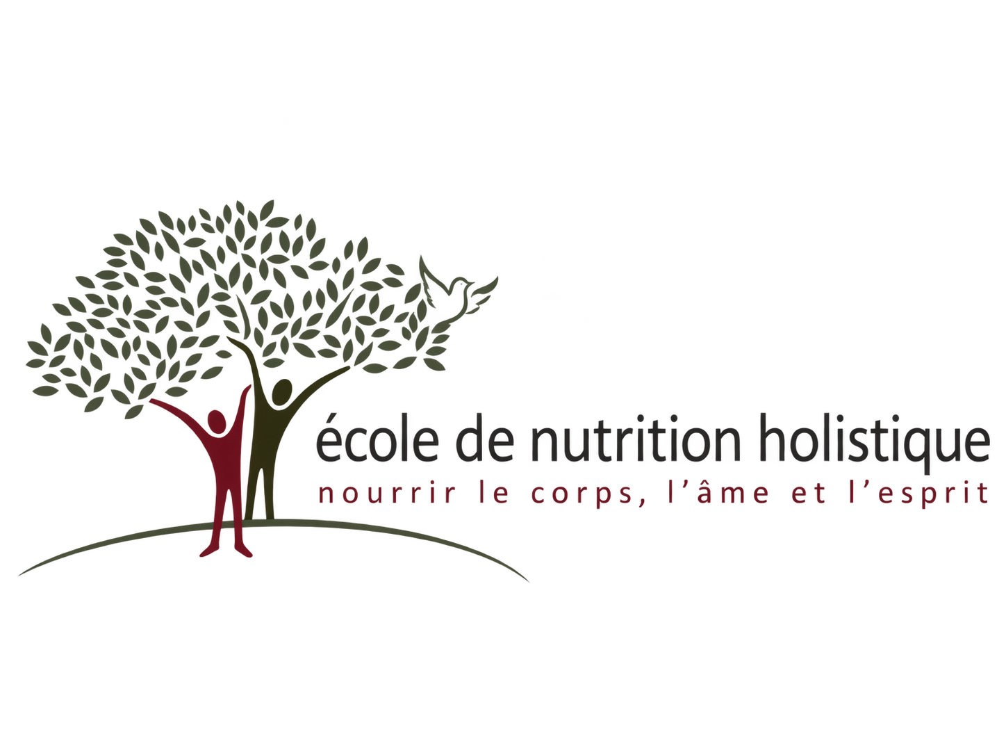 Logo École de Nutrition Holistique